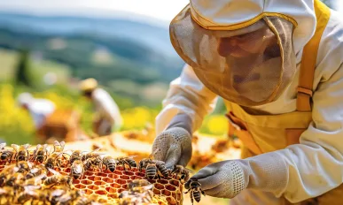 A man in a beekeeper's suit is tending to a hive of bees