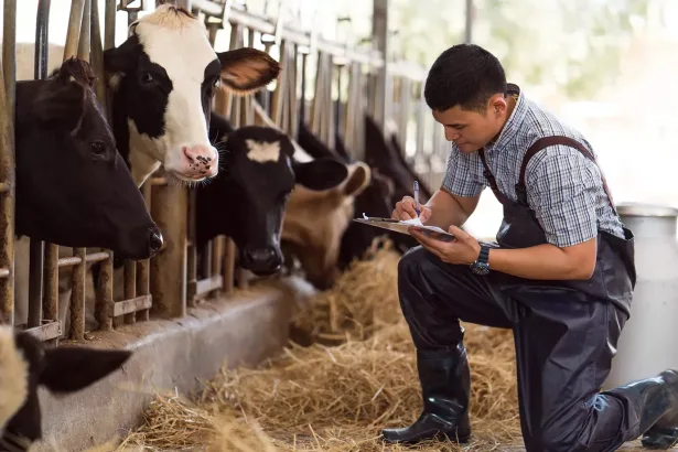 Dairy Group South Africa