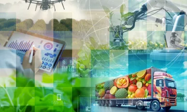 WAICF Cannes Festival