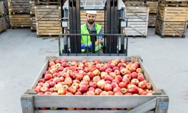 Food Retail & Distribution