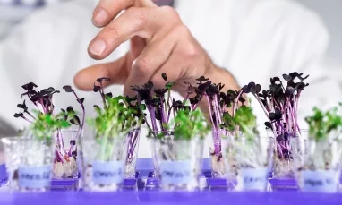 Food Technology & Innovation