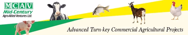 Mid Century Ventures