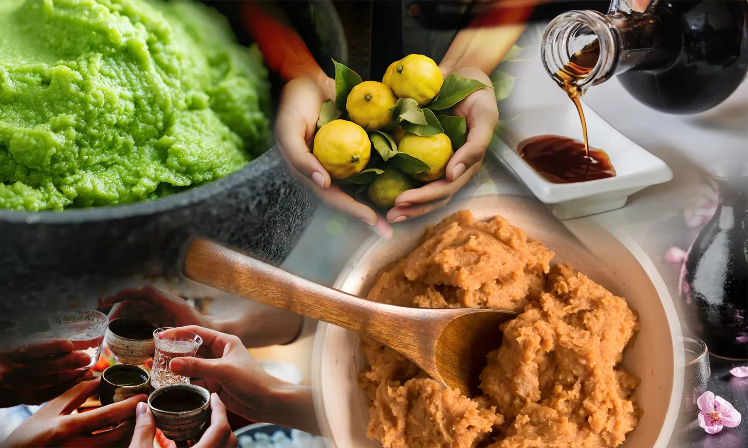 Bone Daddies Expert Eye Main