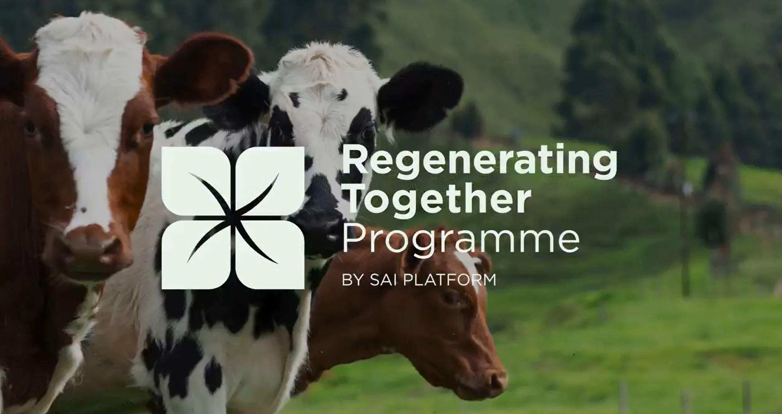 “A Landmark Moment for Regenerative Agriculture”: What is SAI Platform's Regenerating Together Programme? - Food & Beverage Outlook