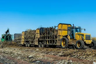 Tongaat Hulett Zimbabwe