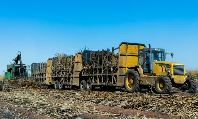 Tongaat Hulett Zimbabwe