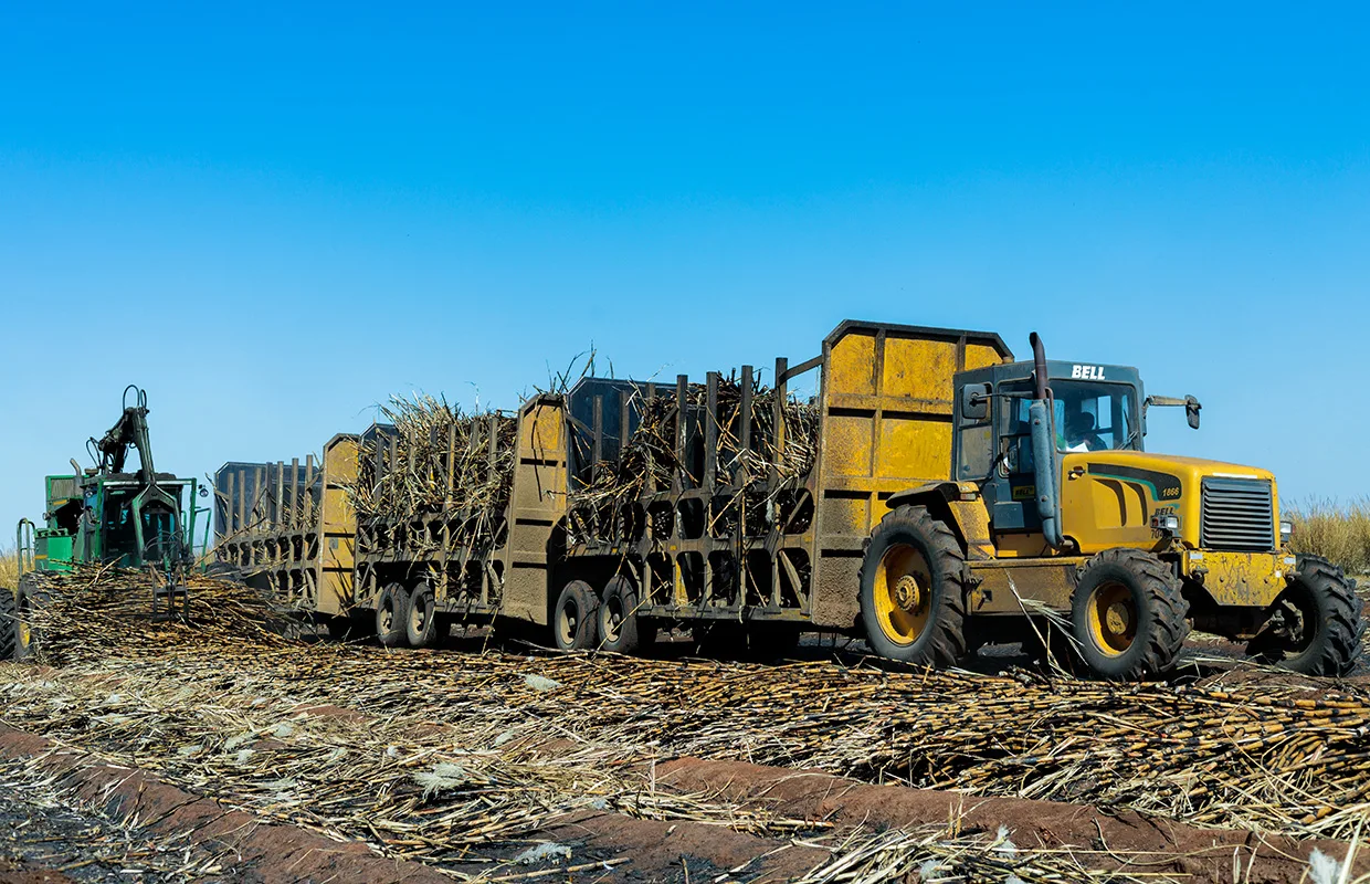 Tongaat Hulett Zimbabwe