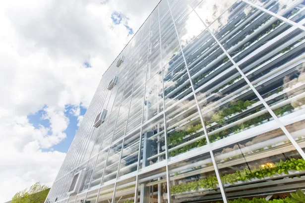 Vertical Harvest Farms