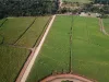 Tongaat Hulett Zimbabwe