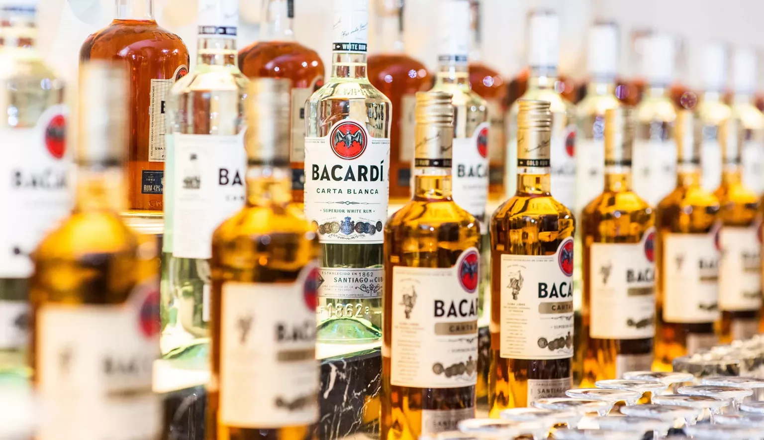 bacardi south africa